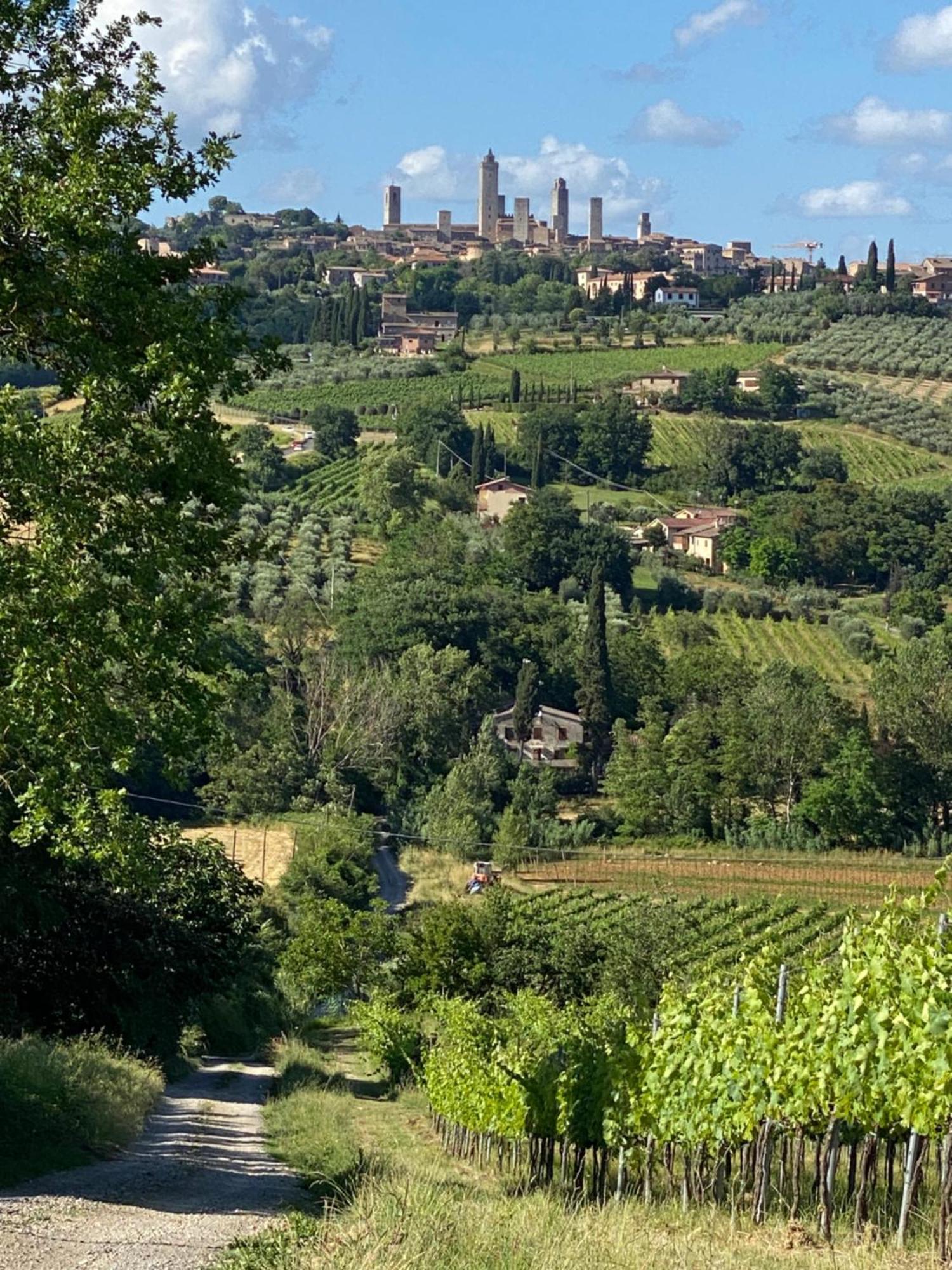 Podere Casanuova