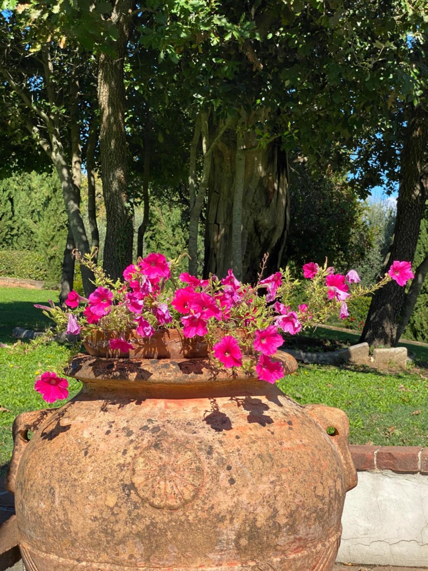 Podere Casanuova Agroturismo
