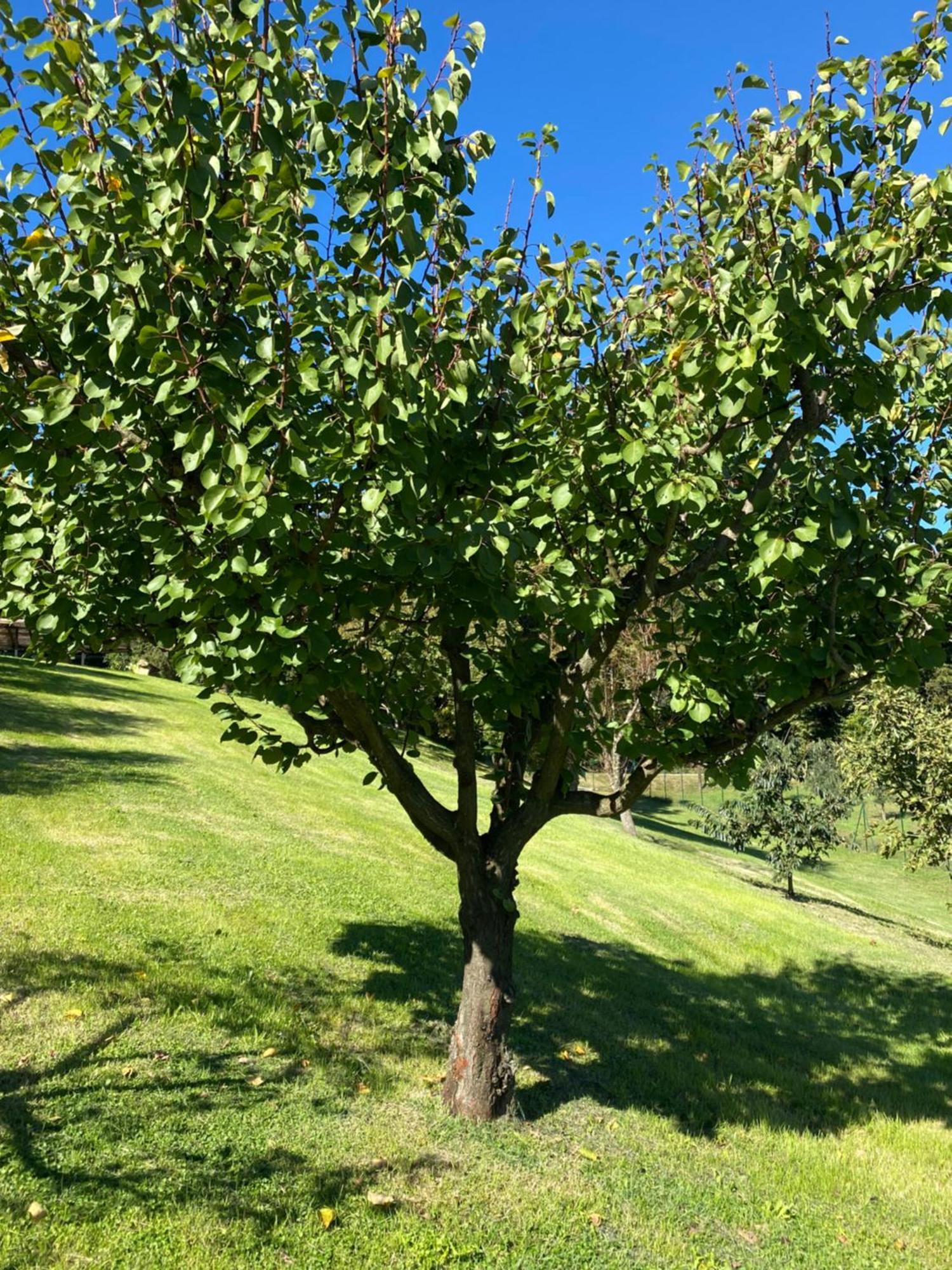 Agroturismo Podere Casanuova *