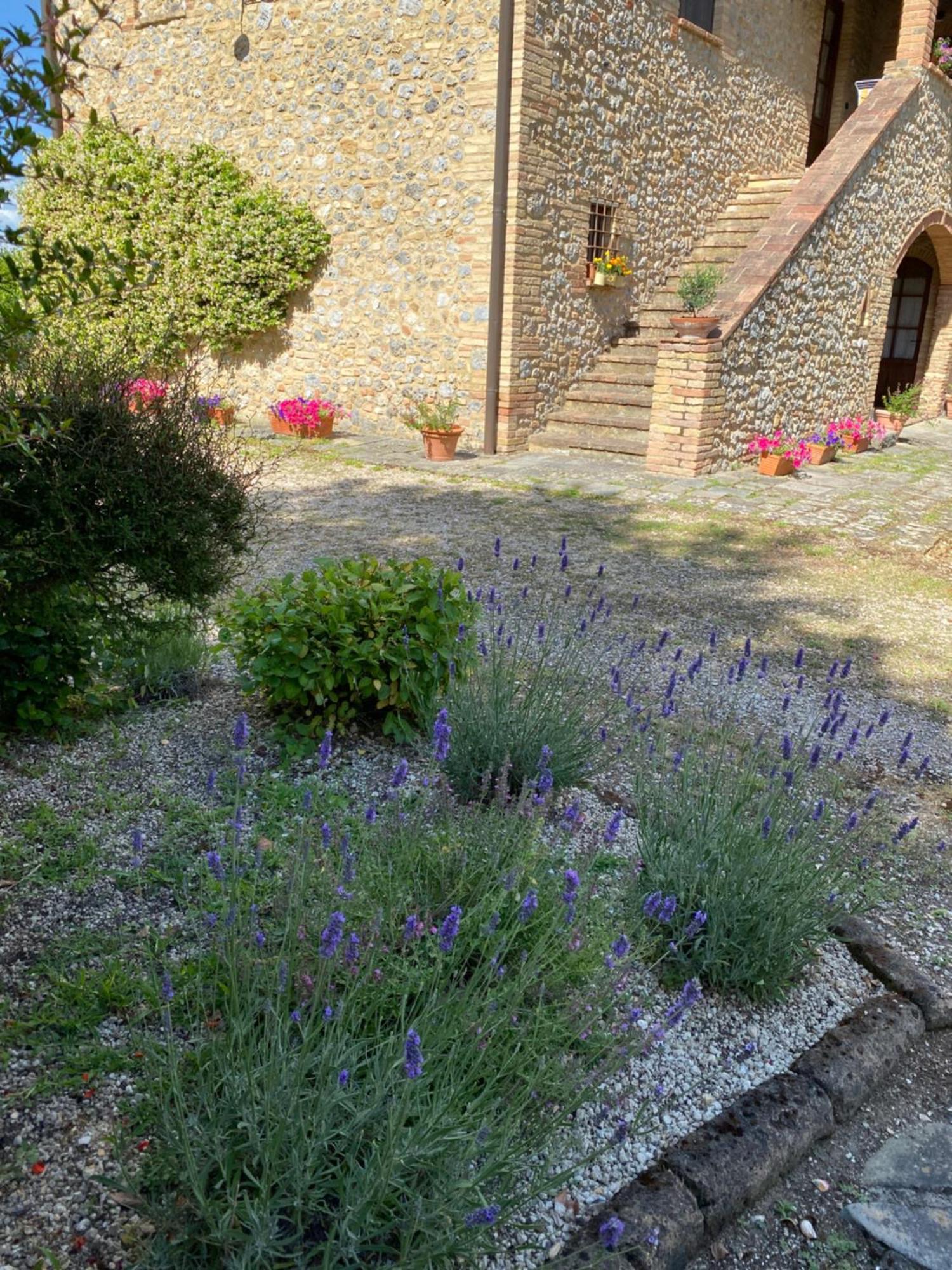 Vakantieboerderij Podere Casanuova San Gimignano