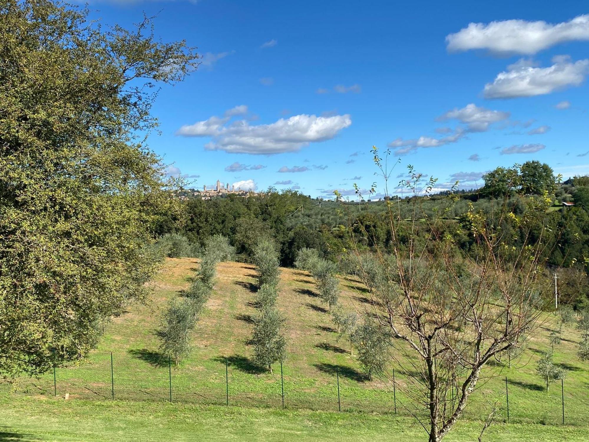 Agroturismo Podere Casanuova