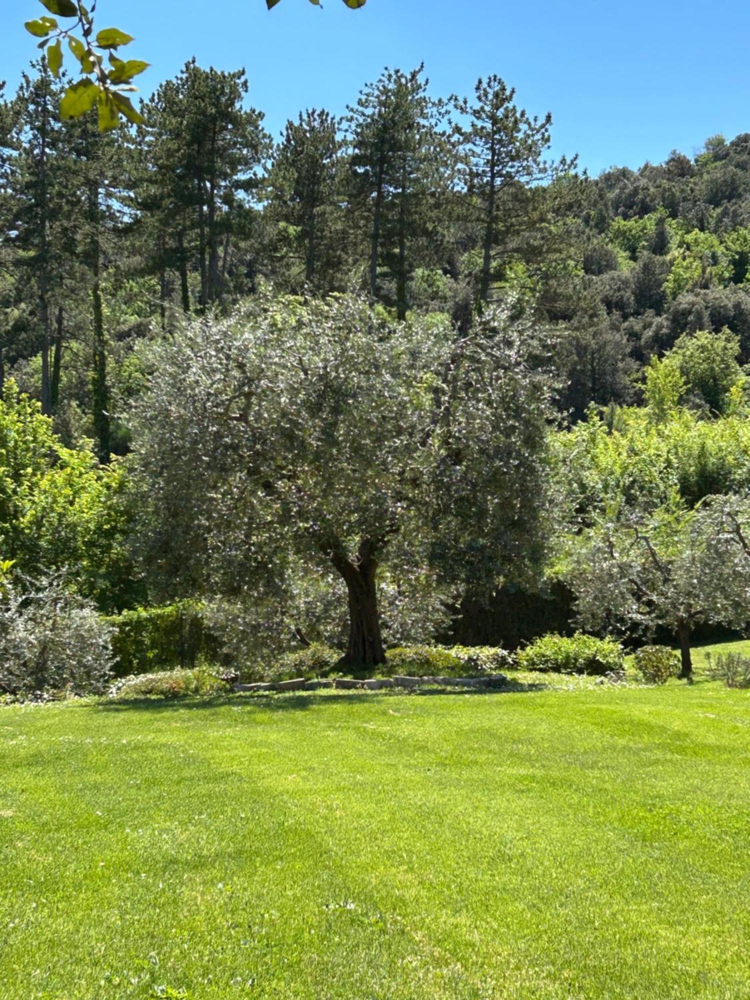 Agroturismo Podere Casanuova *