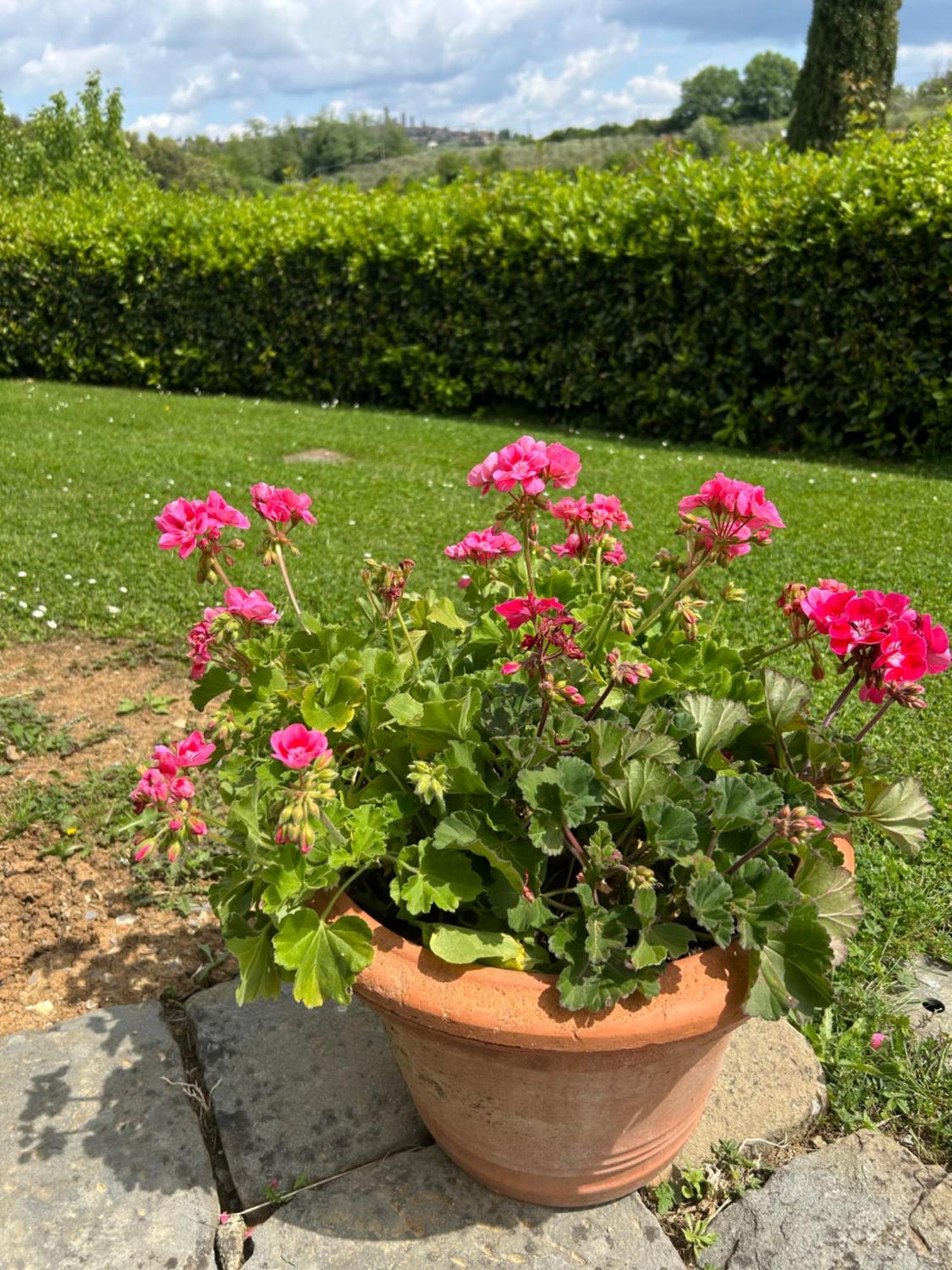 Podere Casanuova Agroturismo *